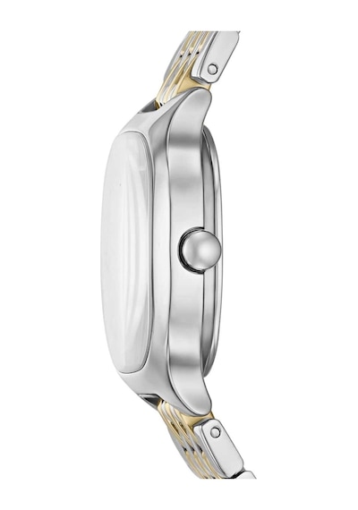 Skagen Watches Skw3160 Kadın Kol Saati Metalik Gri