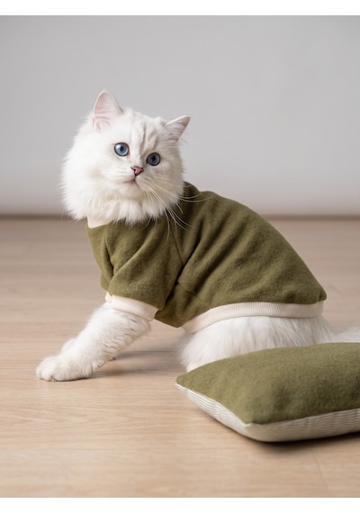 Natura Cozy Pati & Yastık Nefti Yeşil Polar Kedi Sweatshirt Ve Mini Yastık 2 Parça