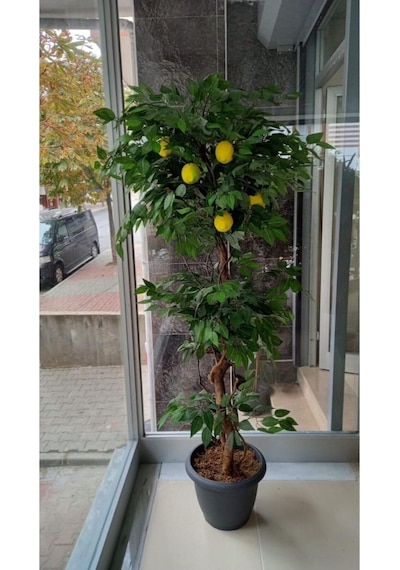 Cihan Çiçekçilik Limon Ağacı 180 Cm Yapay Ağaç Üretim Saksısı Yeşil