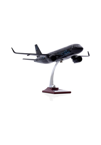 Zekupp Airbus A320, 1/100 Thy Siyah Renk, Desenli Uçak Maketi Zu-uck0113