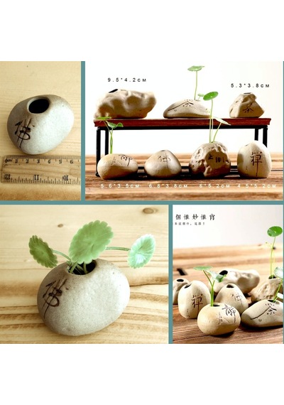 Omeniv Mini Bonsai Saksı + Sukulent Kaktüs Otantik