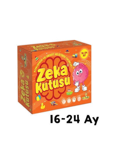 Zeka Kutusu 16-24  Ay