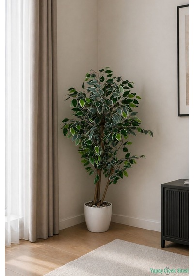 Yapay Çiçek Sitesi Beyaz Saksıda Yapay Benjamin Ficus Ağacı 130 Cm Yeşil - Beyaz Yeşil-beyaz
