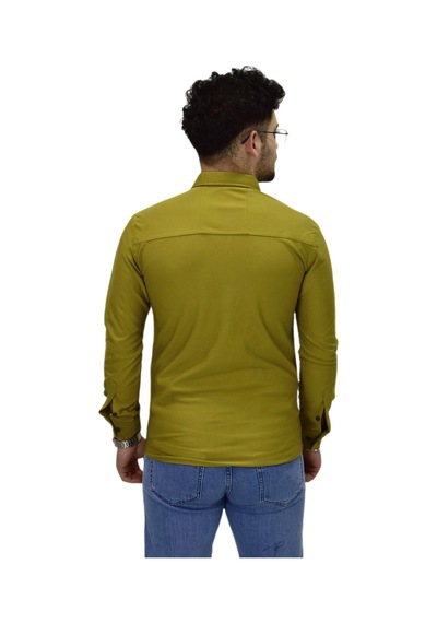 Erkek Spor Silim Fit Uzun Kol Gömlek Bgl-st04482 Yeşil