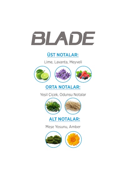 Blade Cool Fresh Erkek Parfüm EDT 70 ML + Cool Fresh Erkek Sprey Deodorant 3 x 150 ML Blade Cool Fresh Erkek Parfüm EDT 70 ML + Cool Fresh Erkek Sprey Deodorant 3 x 150 ML