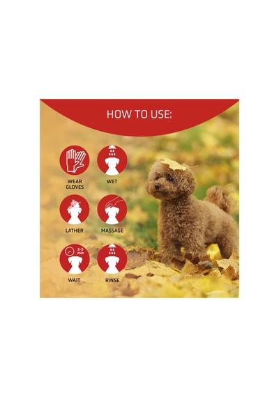 Scarlet Poodle Irkına Özel Renk Arttırıcı Şampuan 300 Ml