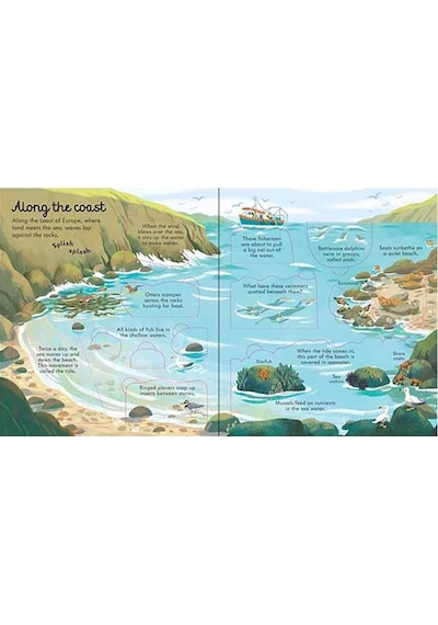 The Usborne Look Inside Seas And Oceans 5+ Yaş