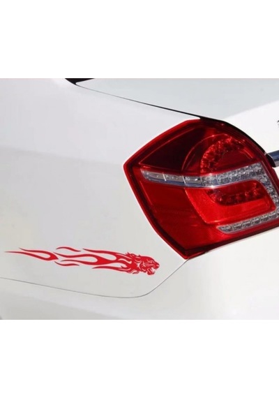 Kaplan Araba Sticker Yapıştırma