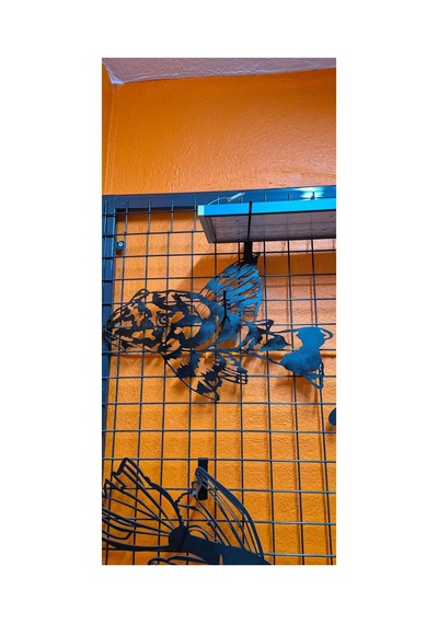 Pleco Işıklı 50cm