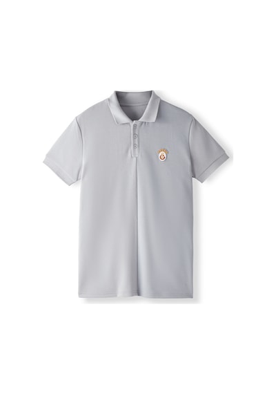 Gsstore Galatasaray Erkek Polo T-shirt E252103 Gri