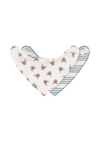 Lassig Tiny Team 2'li Bandana Önlük Köpek Temalı Çok Renkli