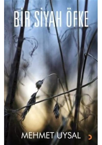 Bir Siyah Öfke / Mehmet Uysal