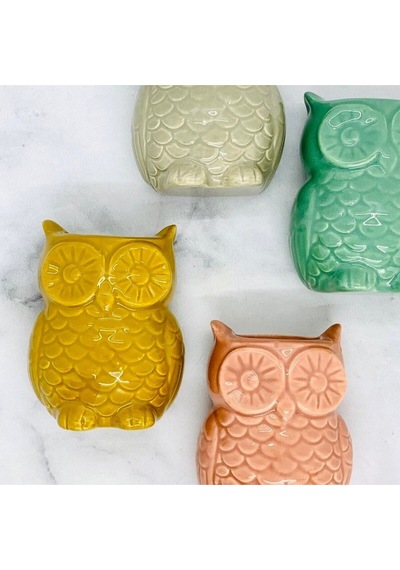 Mıknatıslı Mini Baykuş Saksı