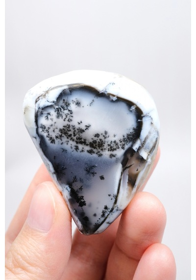 Alkimik Mavi Ve Altın Birleşimi: Cilalı Merlinit Dendritik Opal Numunesi
