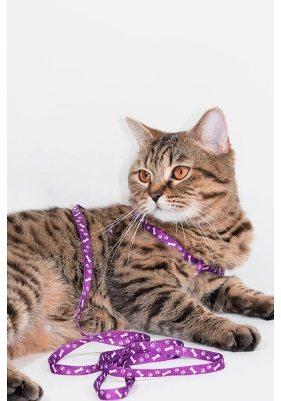 Thentech Yeni Nesil Kedi Tasması Dışarıda Gezdirmek İçin Rahat Kullanım Göğüs Tasması