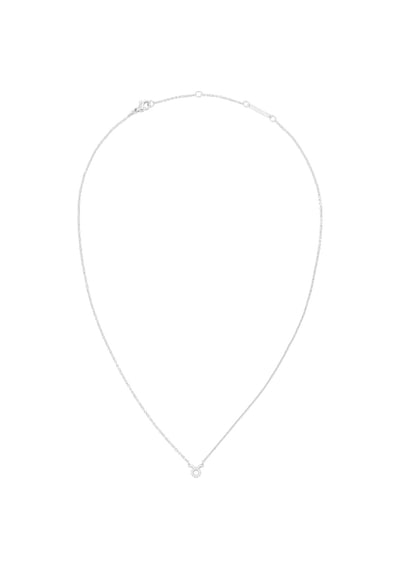 Daniel Wellington Dw00400944 Kadın Kolye Diğer