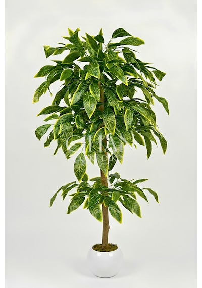 Premium Kalite Yapay Ceviz Ağacı 180 Cm 27x33 Küre Saksı Beyaz