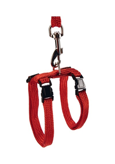Hnrlıshp Beeztees Kedi Göğüs Tasması Ve Gezdirme Kayışı, 130cm, Kırmızı