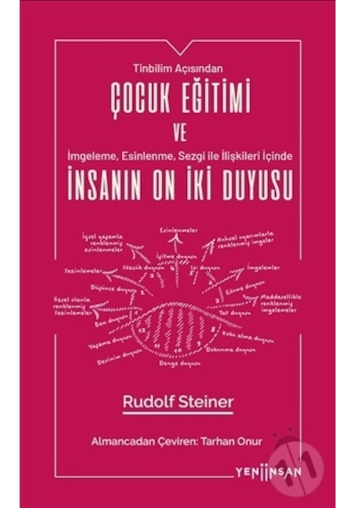 Çocuk Eğitimi ve İnsanın On İki  Duyusu