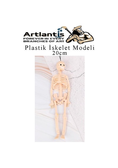 Plastik İskelet Modeli 20 Cm 1 Adet Plastik İnsan İsket Modeli Silikon İskelet Deneyi Araba Süsü