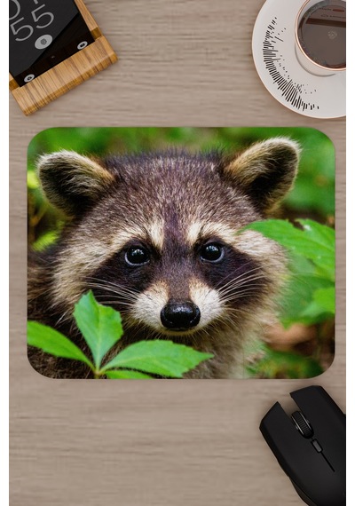 Rakun Kaymaz Dikişli Kauçuk Oyuncu Mousepad V3 - 22x18 Gaming Mouse Pad Fare Altlığı