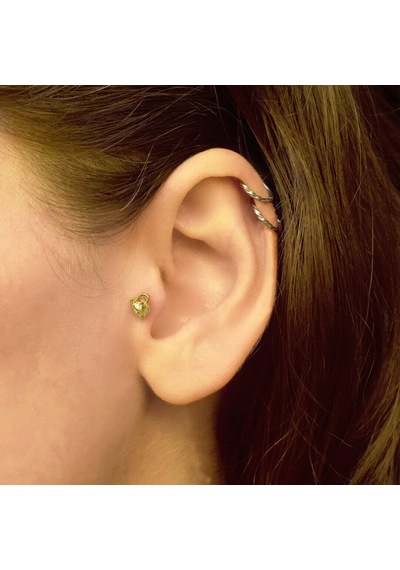 Lilarote Taşlı Yunus Balığı Tragus Küpe