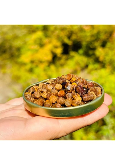 Hüdaverdi Perga Arı Ekmeği 100 G