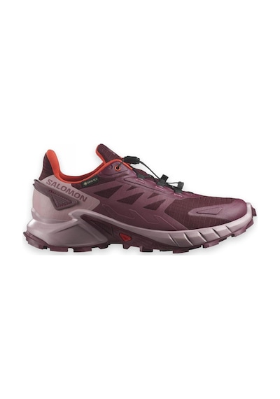 Salomon Supercross 4 Gtx W Tawny Port/deauville Mauve/cherry Toma 001