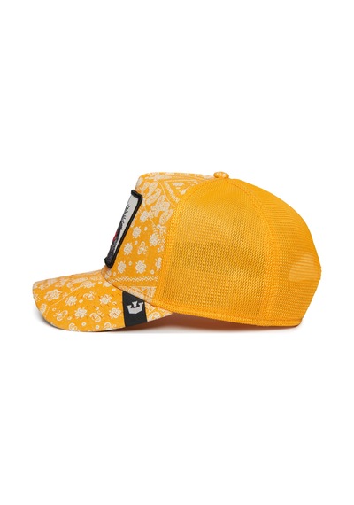 Goorin Bros. Spray Paint Arch Papağan Figürlü Şapka 101-0949