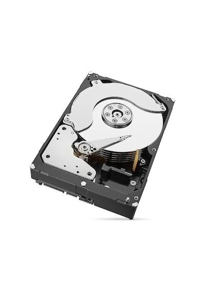 Seagate ST8000VN0022 8 TB Sata 3 3.5" Hard Disk
