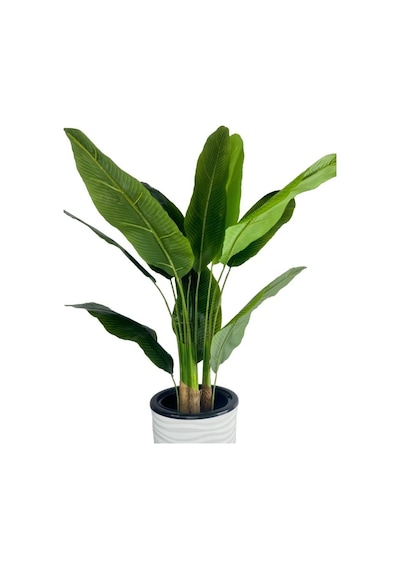 Yapay Starliçe Muz Ağacı Beyaz Kumsal Vazoda Muz Ağacı Yapay Starliçe 150cm 12 Yaprak