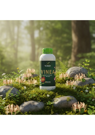 Vinea İkili 250 Ml 2 Adet Dış Mekan Süs Bitkisi Besini - Begonvil Ve Hanımeli İçin Hızlı Büyüme 250 ML