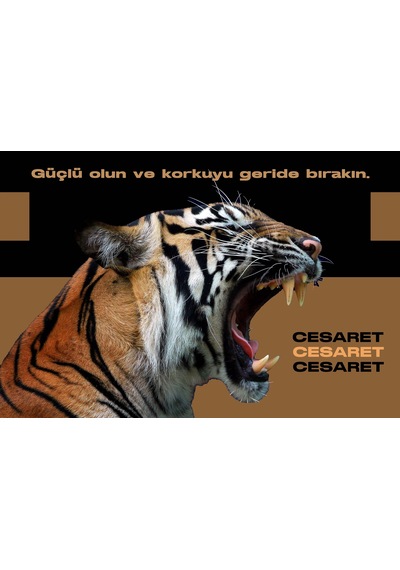 Kaplan sözlü Fotoğraf Kanvas Tablo
