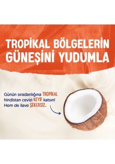 1 L Laktozsuz Vegan Hindistan Cevizi Sütü
