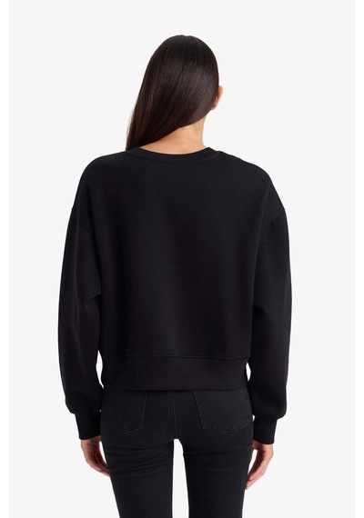 Defacto Boxy Fit Bisiklet Yaka Aplike Kalın Sweatshirt G7007ax25wnbk81 Siyah-bk81
