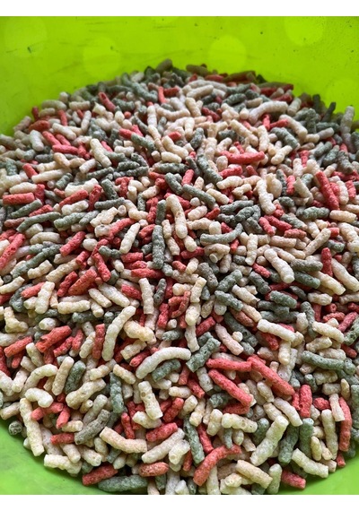Japon Balığı Yemi Karışık 100 Gram Paket