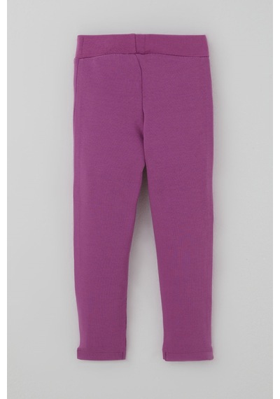 Breeze Kız Çocuk Tayt Basic 2-6 Yaş , Mor