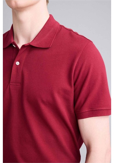 Defacto %100 Pamuk Polo Tişört E9504ax26spbr285 Bordo-br285