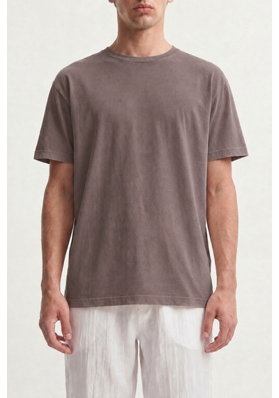 Antioch Pamuklu Erkek T-shirt Vizon