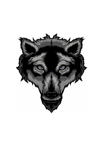 Yaşlı Kurt Araba Motorsiklet Sticker 19 Cm