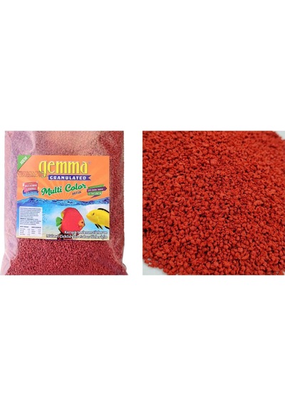 Multi Color Karışık Beslenen ve Malawi Cichlid Ciklet Gibi Etobur