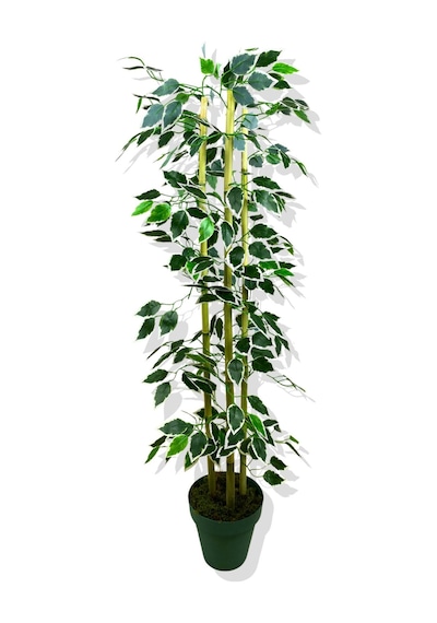 Cihan Çiçekçilik Yapay Yapraklı Fıcus 3 Bambu'lu 110 Cm Beyaz- Yeşil