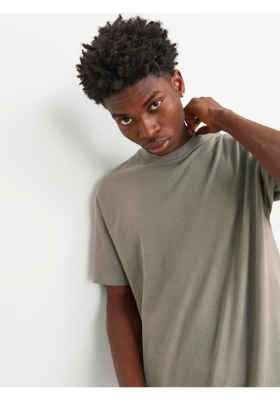 Jack & Jones Erkek Bisiklet Yaka Loose Fit Haki T-shirt - 12254412 Haki
