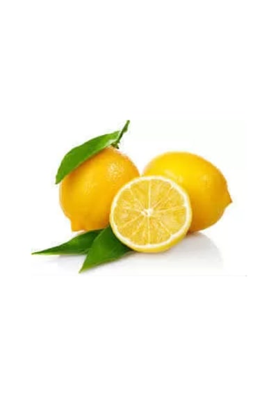 Limon Bonesi / 50 Adet / Bitki Çayı Bonesi Pf Plastik 10 X 15 Çok Renkli Diğer