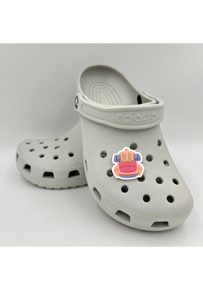 Crocs Terlik Süsü Ve Aksesuarı , Çanta Süsü Jibbitz 3d Sırt Kamp Çantası 05 Logo Aksesuar Bej-kahve-turuncu-siyah