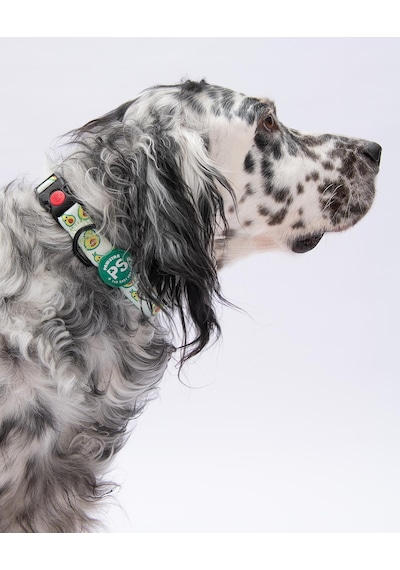 Avocado Avokado Desenli Köpek Boyun Tasması Ayarlanabilir Köpek Tasması M Size 32-48cm Boyun Aralığı Yeşil