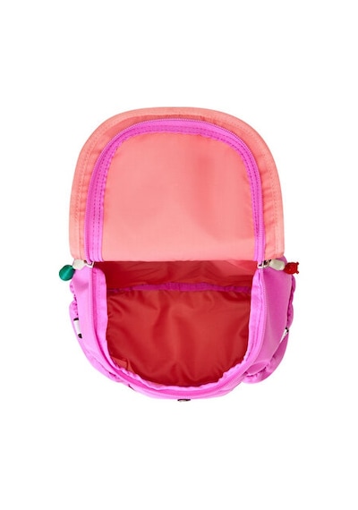 The North Face Y Mini Explorer Sırt Çantası-en: 22 Cm, Boy: 29 Cm, Derinlik: 14 Cm Nf0a52vwm9o1mor Mor