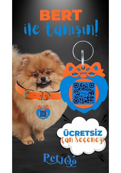 Petjoo 13.Bert Mavi-Turuncu Qr'lı Köpek Künyesi