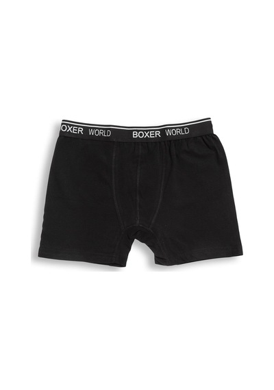 Orbis 3'lü Erkek Likralı Boxer 14100-B3