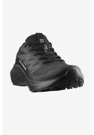 Salomon Alphaglide Gore-tex Erkek Koşu Ayakkabısı Siyah 478021